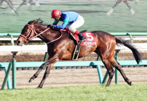 【競馬予想】[1]第58回札幌記念（GII）/2022