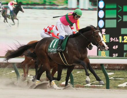 蛯名正義、重賞5勝テイエムサウスダンの栗東から自厩舎への転厩騒動の真相激白