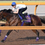ドウデュースえげつない馬体www
