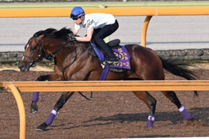 ドウデュースえげつない馬体www