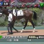 【2歳未勝利】あのダノンザタイガー、満を持して未勝利に出走→結果は?