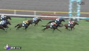 【競馬】関屋記念は三浦騎乗のウインカーネリアンがＶ
