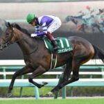 ファインルージュが電撃引退!ノーザンファームで繁殖入りへ