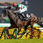 【競馬予想】[1]第17回キーンランドカップ(GIII) /2022