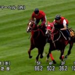 【キーンランドカップ2022】追い切り/抜群の動きを見せたのは