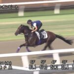 【新潟記念2022】追い切り/抜群の動きを見せたのは
