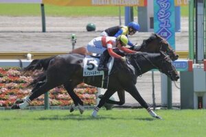 札幌2歳Sが豪華すぎる件