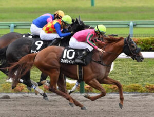 【競馬予想】第27回エルムステークス(GIII) /2022