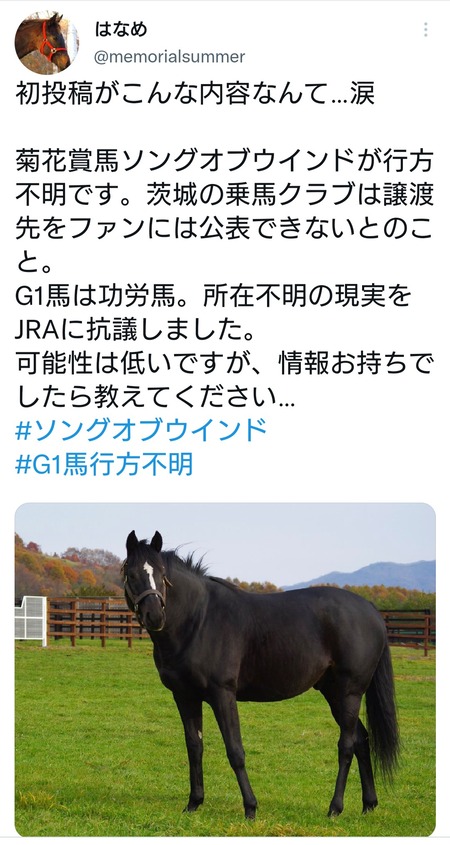 菊花賞馬ソングオブウインド、突然の行方不明でSNS大炎上中