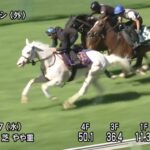 【札幌記念2022】追い切り/抜群の動きを見せたのは