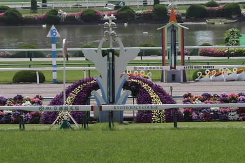 菊花賞は京都1800mにするべき