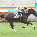 【2歳新馬】リアルスティール産駒フライヤートゥルー初陣を飾る!