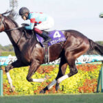 香港スプリントで骨折のピクシーナイト年内復帰断念