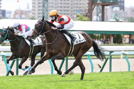 【2歳未勝利】評判馬ドゥラエレーデ出走！結果は？