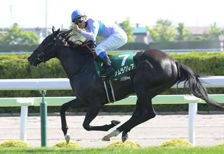 【競馬予想】第57回北九州記念(GⅢ) /2022