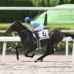【2歳新馬】ヤマニンウルス強すぎワラタwwww