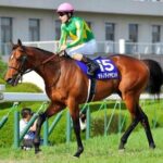 サトノクラウン産駒6勝 サトノダイヤモンド産駒1勝