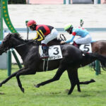 【2歳新馬】コナコースト強過ぎワロタ