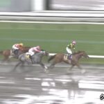 【クラスターカップ2022】結果・動画/オーロラテソーロが抜け出し快勝