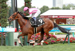 コスモス賞Vで2戦2勝モリアーナは阪神JFに直行