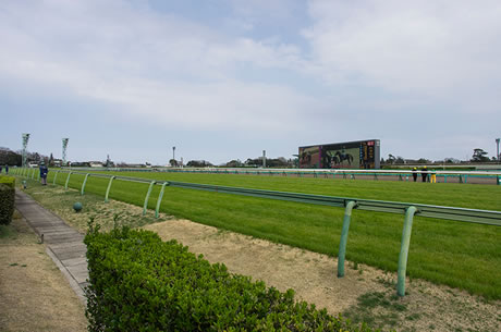 2歳時怪物と騒がれたが翌年同期に一瞬で置いていかれた馬