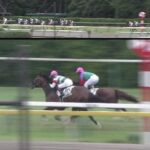 【競馬】一口37.5万×400口で総額1憶5000万円のフィアレスデザイアが新潟未勝利戦でデビューも大差の17着