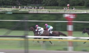 【競馬】一口37.5万×400口で総額1憶5000万円のフィアレスデザイアが新潟未勝利戦でデビューも大差の17着