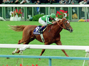 【追悼】ＧI５勝タイキシャトル～稀代の名マイラー