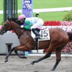 オヌシナニモノ登録抹消 地方競馬へ