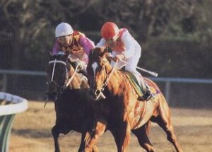 00年競馬板「23年前のTTG語る老害うっざ」、現在「23年前エルグラスペガー」