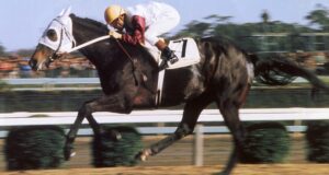 顕彰馬再選考スレ