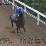 【オールカマー2022】追い切り/抜群の動きを見せたのは