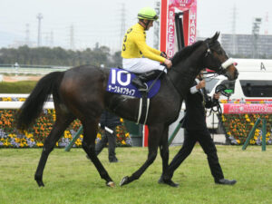 サークルオブライフ（－22キロ）国枝師「牧場から帰ってきたらガリガリだった。輸送でさらに減った」