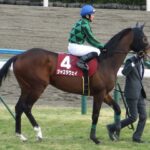 芝2000mの日本最強馬って誰なの?
