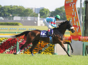 アーモンドアイが芝G1最多勝利って納得いかねえよな