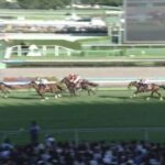 【競馬】オールカマーは横山武騎乗のジェラルディーナがV