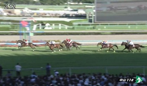 【競馬】オールカマーは横山武騎乗のジェラルディーナがＶ