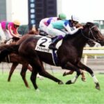 アドマイヤベガ←何て呼んでた?