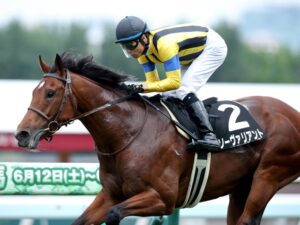 オールカマー最下位のソーヴァリアントはレース中に心房細動を発症　大きく離されフラフラ状態でゴール