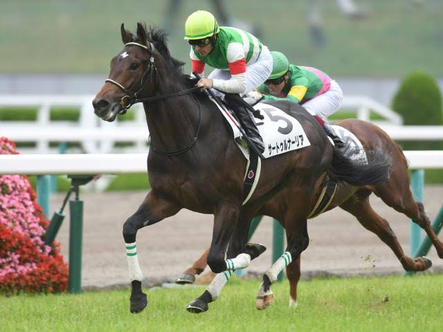 【衝撃】史上最強の神戸新聞杯勝ち馬、ついに決定www