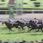 【競馬】小倉2歳Sは松山騎乗のロンドンプランがV