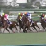 【競馬】ディープスカイ1.6倍一番人気wwww@2009年宝塚記念