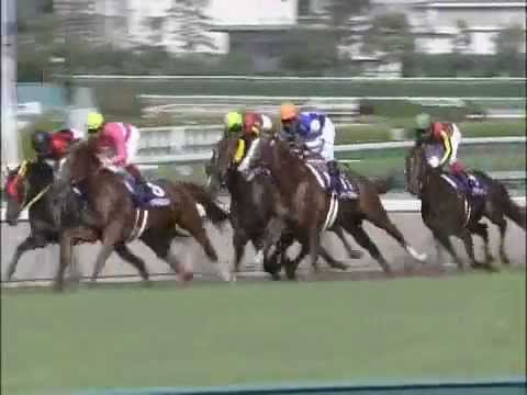 【競馬】ディープスカイ1.6倍一番人気ｗｗｗｗ＠2009年宝塚記念