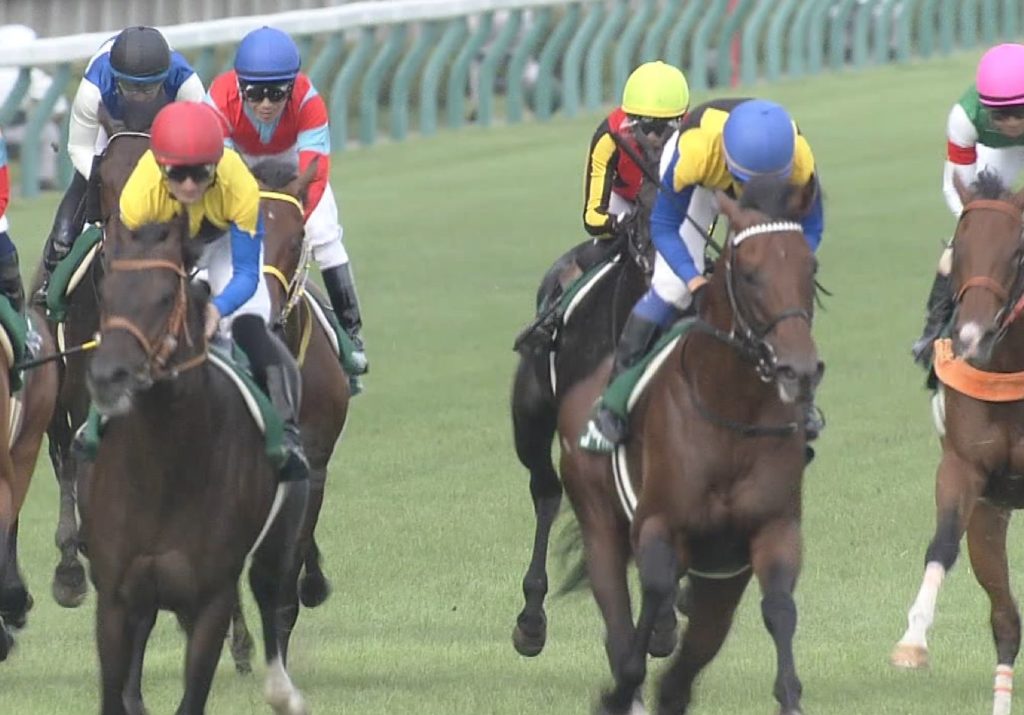 【競馬】東京ダービー馬・バルダッサーレJDD後はレパードS参戦を示唆