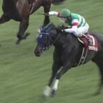 【競馬】鷲見玲奈モヤさまきたああああああああああああああああああああああああああああああ