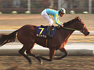 芝で最強のダート馬は？