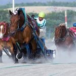 初めてばんえい競馬見たら道中馬が止まっててワロタ