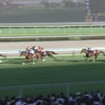 【オールカマー2022】結果・動画/ジェラルディーナがうまく立ち回り快勝