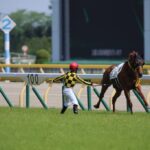 【競馬】ノボバカラに夏のボーナス全部突っ込もうと思うんだが不安要素教えろ