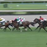 【京成杯オータムハンデ2022】結果・動画/ファルコニアが接戦を制す